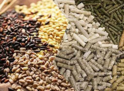 Animal Feed
