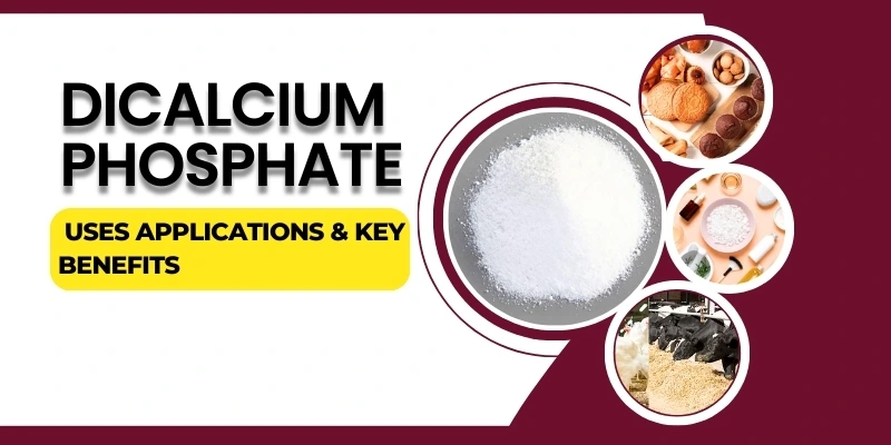 dicalcium-phosphate-uses-applications-and-key-benefits